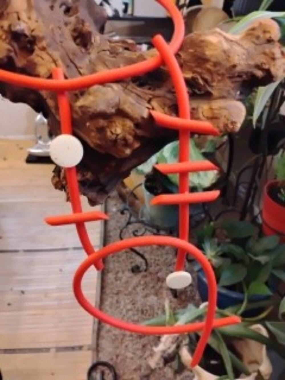 MOMA Necklace